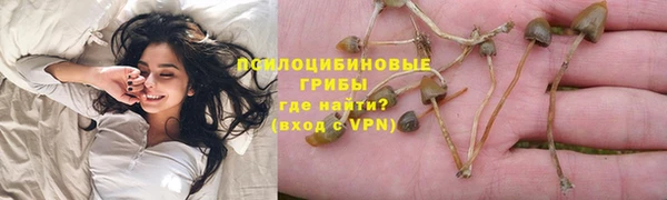 скорость Белокуриха