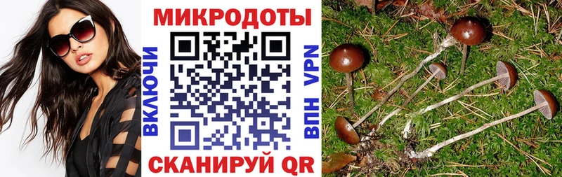 darknet телеграм  Ядрин  Галлюциногенные грибы мухоморы  где продают наркотики 