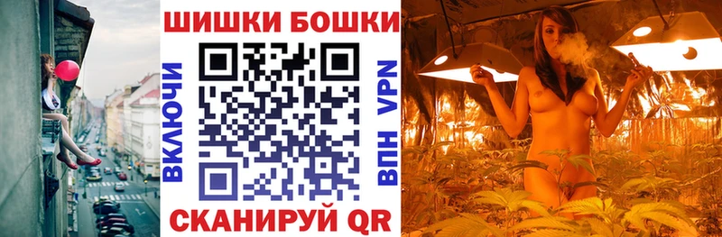 продажа наркотиков  Ядрин  Конопля сатива 